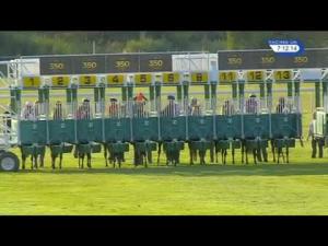 Video preview image for Newmarket 19:10 - Maritime Cargo Services Fillies' Handicap (London Mile Series Qualifier)