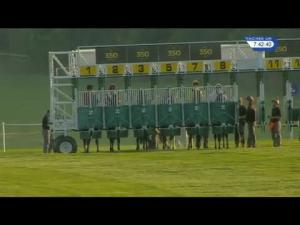 Video preview image for Newmarket 19:40 - Stortford Interiors Silver Jubilee Maiden Stakes