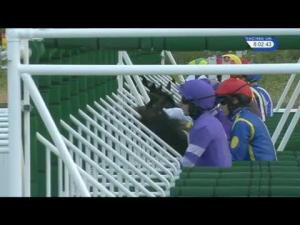 Video preview image for York 20:00 - Novus Handicap