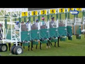 Video preview image for Newmarket 20:45 - newmarketracecourses.co.uk Handicap