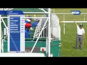 Video preview image for Newmarket 14:00 - Adnams Southwold Bitter EBF Stallions Maiden Stakes (Plus 10)