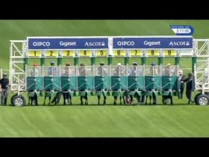 Video preview image for Ascot 14:10 - Wooldridge Group Pat Eddery Stakes (Listed) (Formerly Known As The Winkfield Stakes)