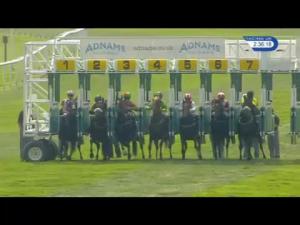 Video preview image for Newmarket 14:35 - Adnams Broadside Handicap
