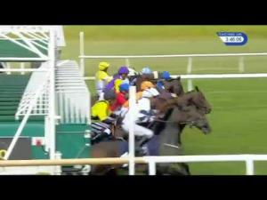 Video preview image for Newmarket 15:45 - Adnams Ease Up Ipa Handicap