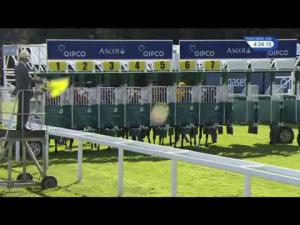 Video preview image for Ascot 16:30 - King George VI and Queen Elizabeth Stakes (Group 1) (Sponsored By QIPCO) (British Champions Series)