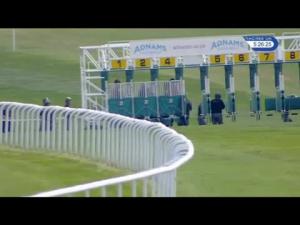 Video preview image for Newmarket 17:25 - Sue Weston Memorial Handicap