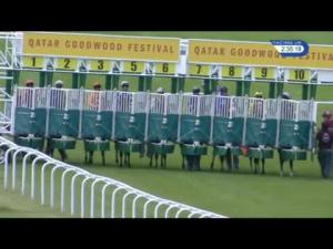 Video preview image for Goodwood 14:35 - Qatar Vintage Stakes (Group 2)