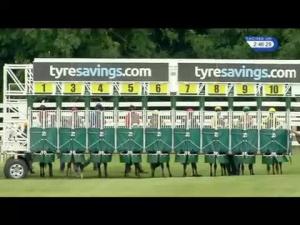 Video preview image for Beverley 14:45 - Holderness Pony Club Maiden Auction Stakes