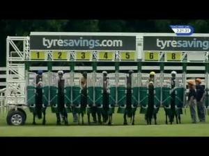 Video preview image for Beverley 15:20 - Roberta Marshall Memorial Handicap