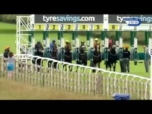 Video preview image for Beverley 15:55 - Wilford Watts Memorial Handicap