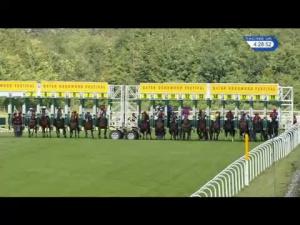 Video preview image for Goodwood 16:20 - Weatherbys Private Bank Stakes (Handicap)