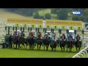Video preview image for Goodwood 14:35 - Beringice Gordon Stakes (Group 3)