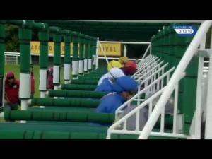 Video preview image for Goodwood 15:10 - Qatar Sussex Stakes (British Champions Series) (Group 1)