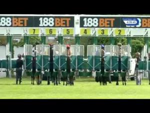 Video preview image for Redcar 16:05 - Pinnacle Racing Shares Available Now Handicap (Qualifier For Pinnacle Cup Straight Mile Series Final)