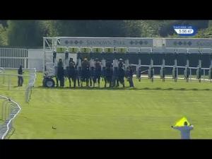 Video preview image for Sandown Park 17:55 - Wellington Apprentice Handicap
