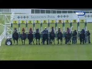 Video preview image for Sandown Park 19:00 - British Stallion Studs EBF Maiden Stakes