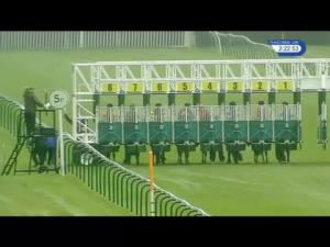 Video preview image for Nottingham 14:20 - British Stallion Studs EBF Maiden Fillies' Stakes (Plus 10)