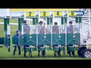 Video preview image for Goodwood 14:35 - Qatar Richmond Stakes (Group 2)