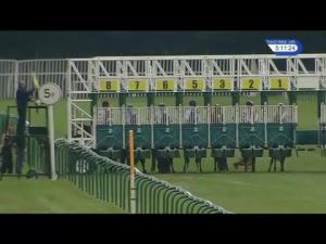 Video preview image for Nottingham 17:10 - Racing UK In Glorious HD Handicap