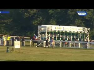 Video preview image for Epsom Downs 20:05 - Nonsuch Park Handicap