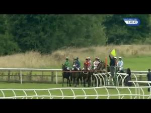 Video preview image for Bangor-On-Dee 13:40 - Esl Group Mares' Maiden Hurdle