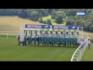 Video preview image for Goodwood 14:00 - Betfred Glorious Stakes (Group 3)