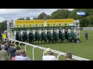 Video preview image for Goodwood 14:35 - Bonhams Thoroughbred Stakes (Group 3)