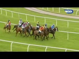 Video preview image for Bangor-On-Dee 14:45 - Brooke Rankin & Co Accountants Handicap Chase