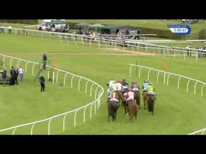 Video preview image for Bangor-On-Dee 17:00 - R W Hough & Sons Conditional Jockeys' Handicap Hurdle