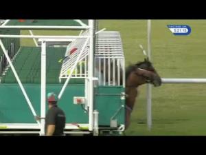 Video preview image for Newmarket 17:20 - discovernewmarket.co.uk Handicap