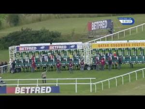 Video preview image for Goodwood 17:30 - Betfred Mobile Stakes (Handicap)