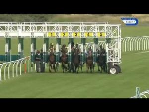 Video preview image for Musselburgh 17:40 - Wilkinson and Associates Amateur Riders' Handicap