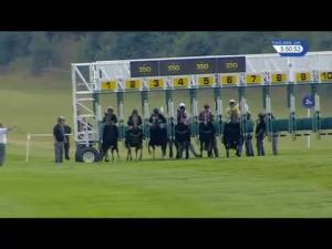 Video preview image for Newmarket 17:50 - Price Bailey Chartered Accountants Handicap