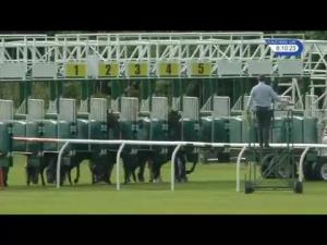 Video preview image for Musselburgh 18:10 - Irish Stallion Farms EBF Maiden Stakes (Plus 10)