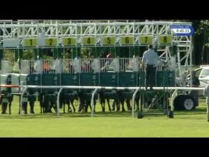 Video preview image for Musselburgh 18:45 - Wilkinson and Associates Scotland Handicap