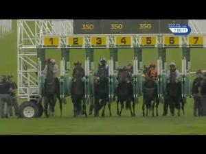 Video preview image for Newmarket 19:00 - Everest Harry Laud Classic Handicap