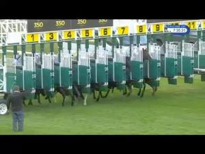 Video preview image for Newmarket 19:35 - Ebm-Papst Handicap