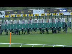 Video preview image for Newmarket 20:35 - Qav 15th Anniversary Celebration Handicap