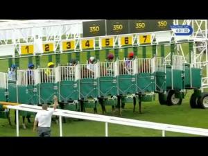 Video preview image for Newmarket 16:00 - Racing UK HD Handicap
