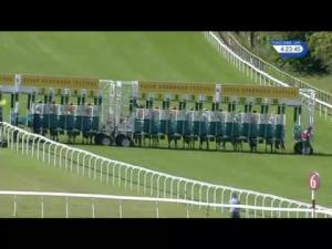 Video preview image for Goodwood 16:20 - Qatar EBF Stallions Maiden Stakes (Plus 10)