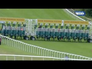 Video preview image for Goodwood 16:55 - Qatar Stakes (Handicap)