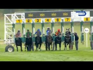 Video preview image for Newmarket 17:10 - Price Bailey Chartered Accountants Handicap
