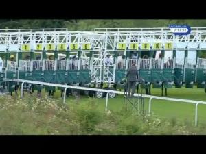 Video preview image for Hamilton Park 19:15 - Gas Call Services Handicap