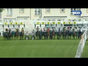 Video preview image for Hamilton Park 19:45 - Alea Casino Handicap