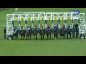 Video preview image for Hamilton Park 20:15 - Exsel Group - It & Communications Handicap