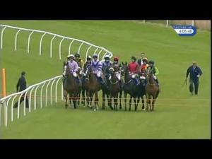 Video preview image for Market Rasen 16:05 - Susan Skinner Birthday Memorial Handicap Hurdle (Div 1)