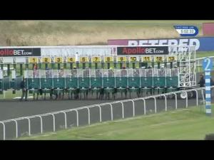 Video preview image for Kempton Park 17:00 - Apollobet Bet Through Your Mobile Handicap