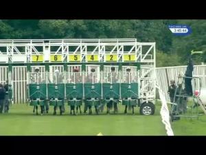 Video preview image for Catterick Bridge 15:45 - Cng Handicap