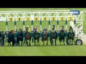 Video preview image for Catterick Bridge 16:15 - Racing UK Profits Returned To Racing Handicap