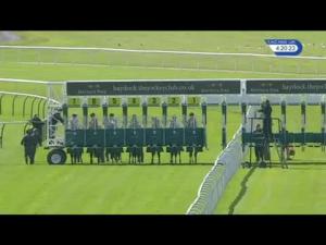 Video preview image for Haydock Park 16:20 - Apollobet Bet On Lotteries Fillies' Handicap